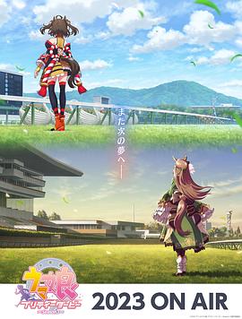 西湖优化网站哪家公司好